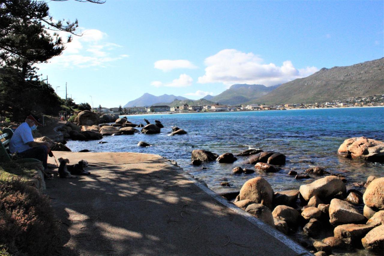 South Peninsula Beach Apartment Κέιπ Τάουν Εξωτερικό φωτογραφία