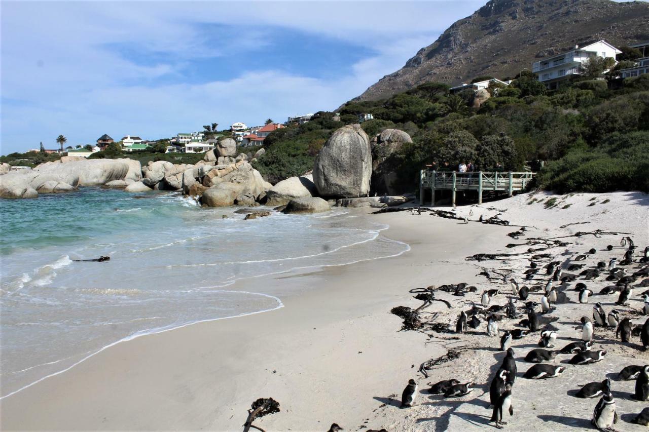 South Peninsula Beach Apartment Κέιπ Τάουν Εξωτερικό φωτογραφία